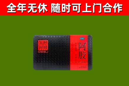 武陟回收阿胶