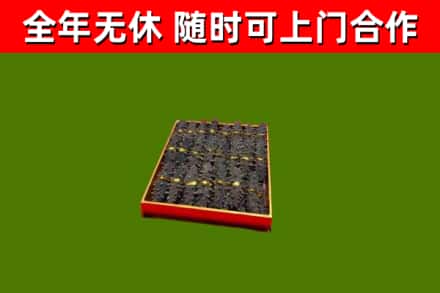 武陟回收海参